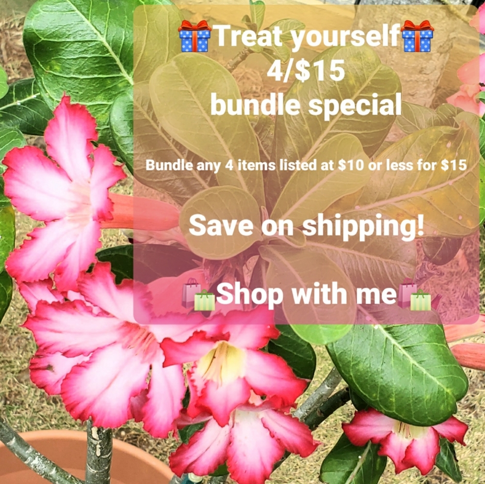🎁4/$15 Treat Yourself!🎁 Bundle Special